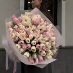 151 white and pink tulips