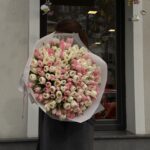 151 white and pink tulips 1