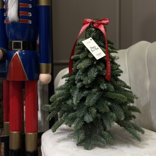 Bradul de Anul Nou nr. 2 - фото 4