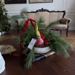 ghiveci de flori cu amaryllis 2