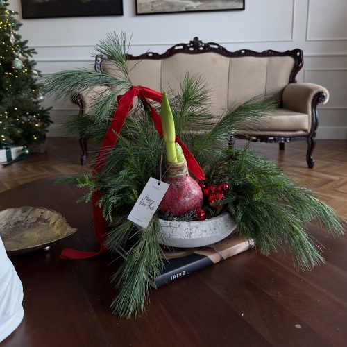 ghiveci de flori cu amaryllis - фото 2