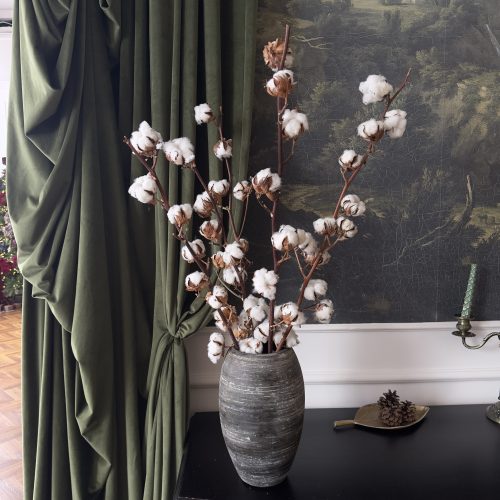 5 ramuri de bumbac - livrare flori Chișinău