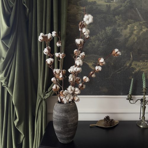 5 ramuri de bumbac - фото 1