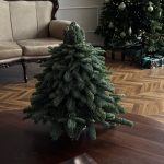 Bradul de Anul Nou nr. 2 3