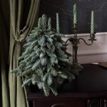 Bradul de Anul Nou nr. 2 1