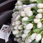 101 белый тюльпан 1