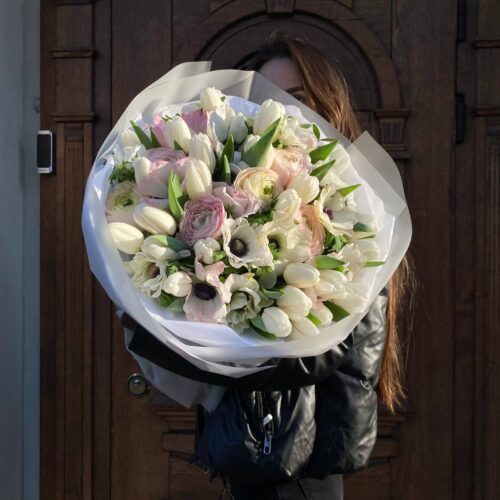 Anemon N2 - фото 1